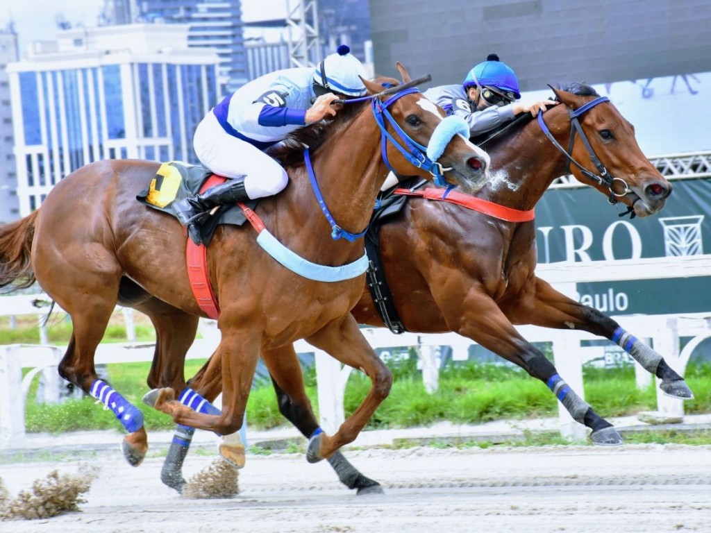 Foto: Heidy Bloom vence a Prova Especial Franco Clemente & Franco Clemente Pinto Junior