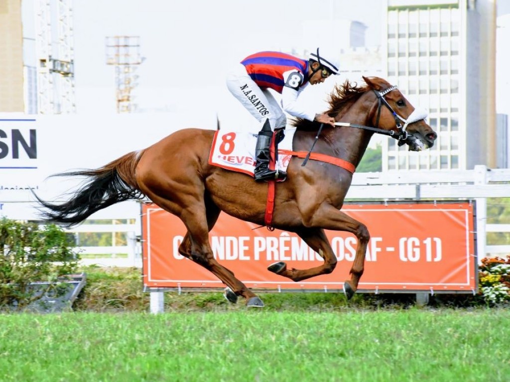 Foto: Hevea: a Rainha de Cidade Jardim esbanja categoria no GP OSAF (G1)