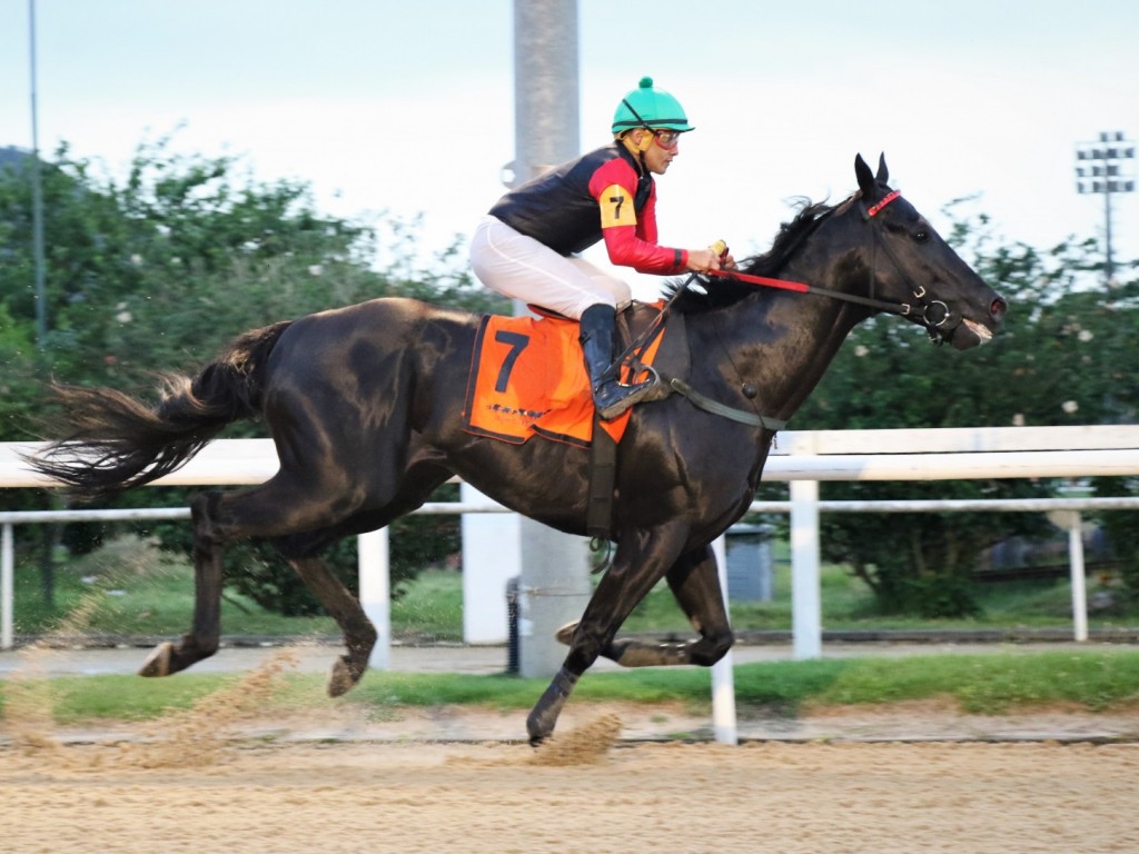 Foto: De volta à areia, Dark Bobby confirma favoritismo no GP Salgado Filho (G3)