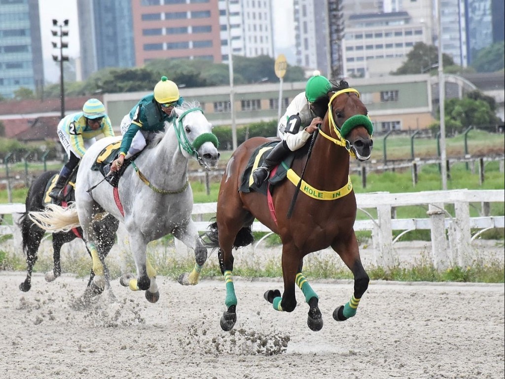 Foto: Pit Stop larga e acaba na Prova Especial 29 de Outubro