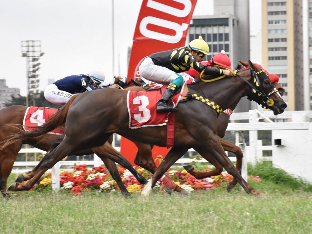 Foto: Pedigree & Black Type: os Ganhadores Clássicos no Brasil - 20ª Edição