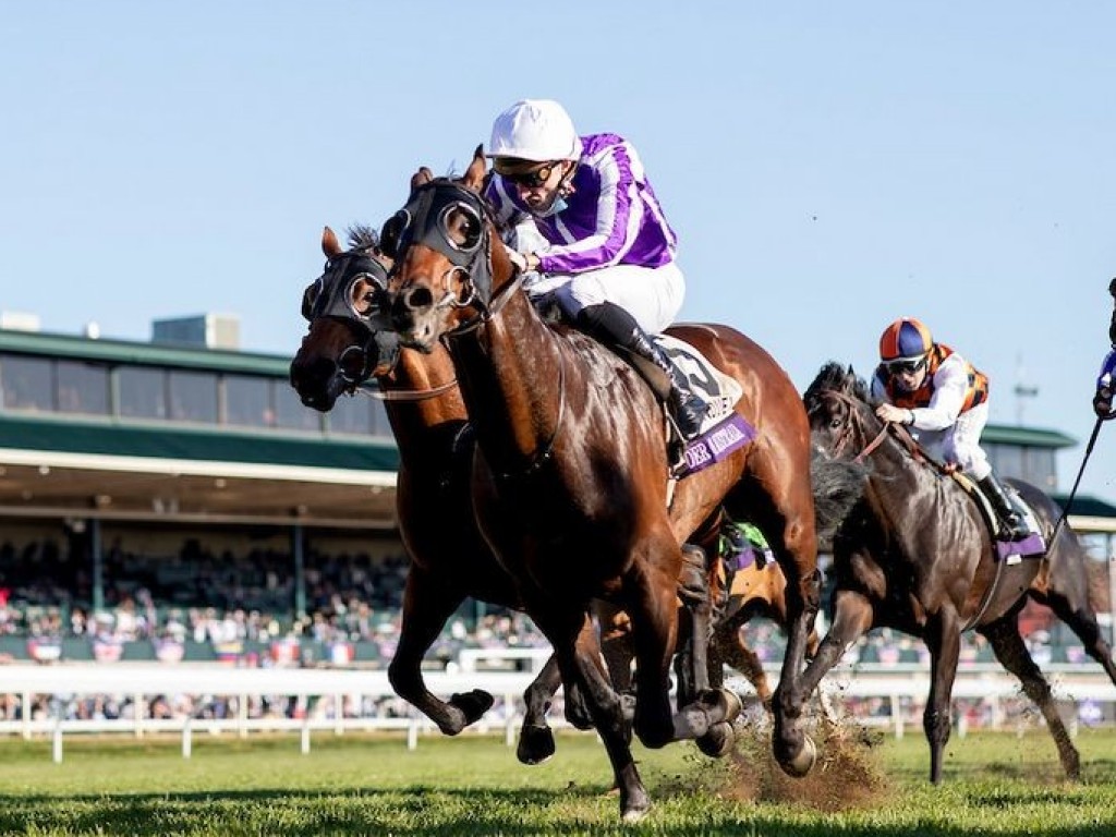 Foto: Ivar volta a render com destaque e finaliza em quarto na Breeders’ Cup Mile (G1)