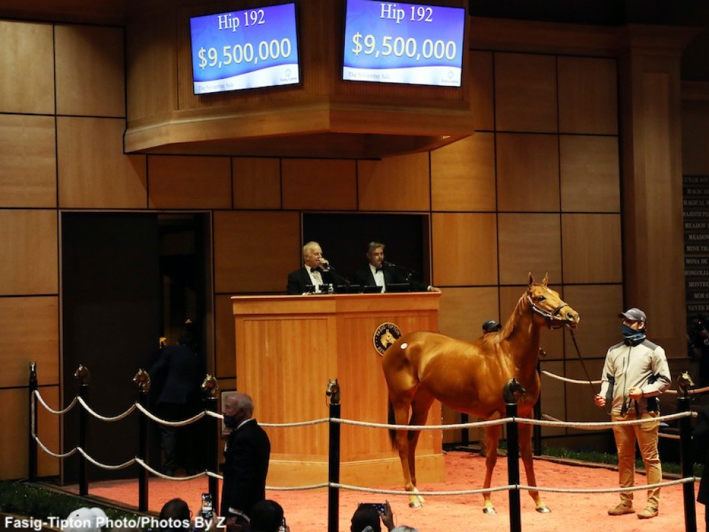 Foto: Novos reprodutores e resultados de Fasig-Tipton movimentam o mercado norte-americano