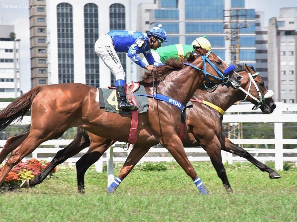 Foto: Com a assinatura de Jorge Ricardo, Big Thunder vence a PE Odysseus