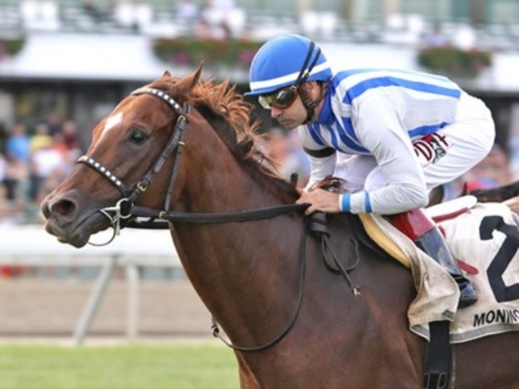 Foto: Criação: Synchrony, o primeiro Tapit a servir no Paraná