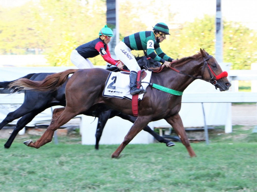 Foto: Pedigree & Black Type: os Ganhadores Clássicos no Brasil - 21ª Edição