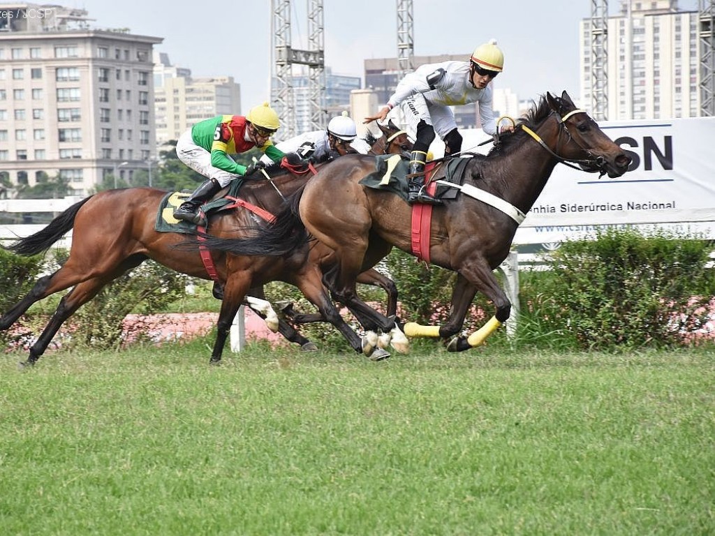 Foto: Magia Negra atropela com sucesso na XXVI Copa Japão de Turfe (G3)