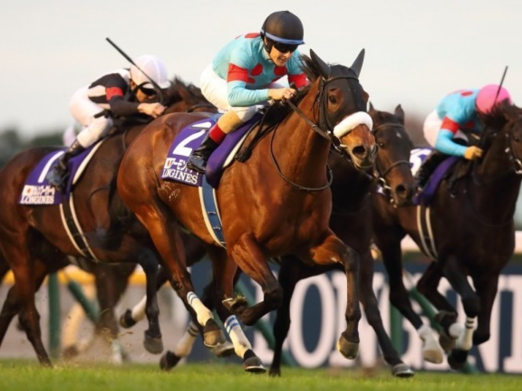 Foto: Em despedida gloriosa, Almond Eye vence edição histórica da Japan Cup (G1)