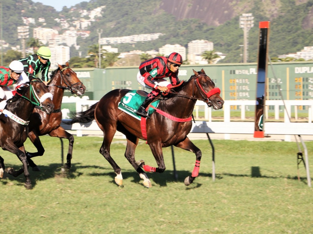 Foto: Olympic Jhonsnow confirma favoritismo no GP Gervásio Seabra (G2)