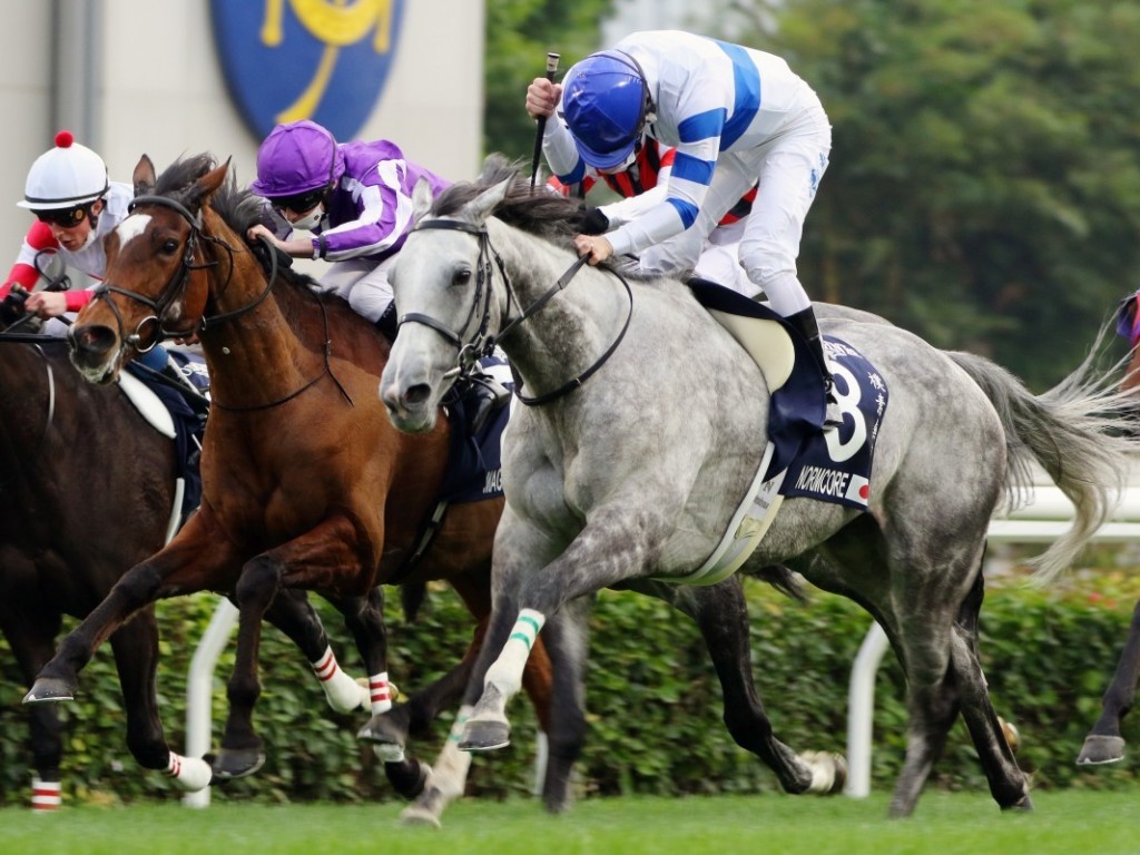 Foto: Normcore conquista a Hong Kong Cup; Mogul e Golden Sixty também brilham no festival