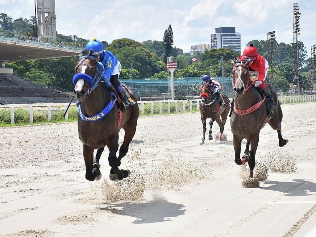 Foto: Takashi segue invicto na areia paulista e vence, pela segunda vez, a PE Profissionais do Turfe