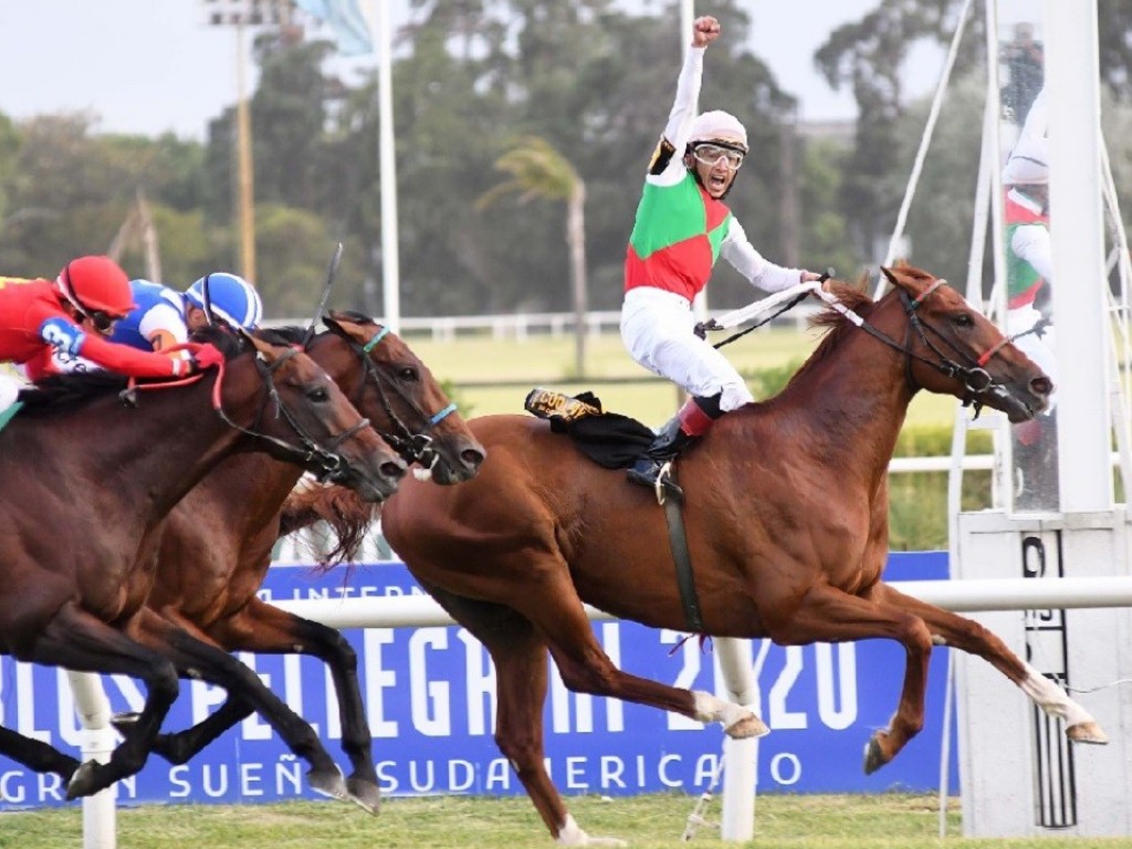 Foto: Em final emocionante, Cool Day vence o GP Carlos Pellegrini (G1)