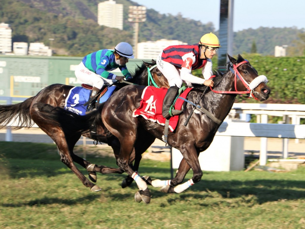 Foto: Pedigree & Black Type: os Ganhadores Clássicos no Brasil - 24ª Edição