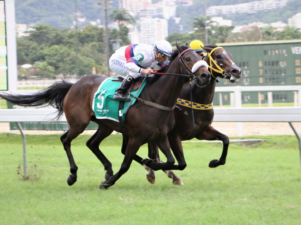 Foto: Pedigree & Black Type: os Ganhadores Clássicos no Brasil - 26ª Edição