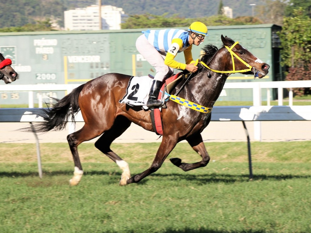 Foto: Pedigree & Black Type: os Ganhadores Clássicos no Brasil - 27ª Edição