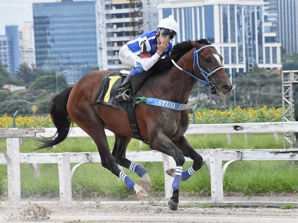 Foto: No GP Presidente Antonio Correa Barbosa (G3), outro troféu para Royal Forestry