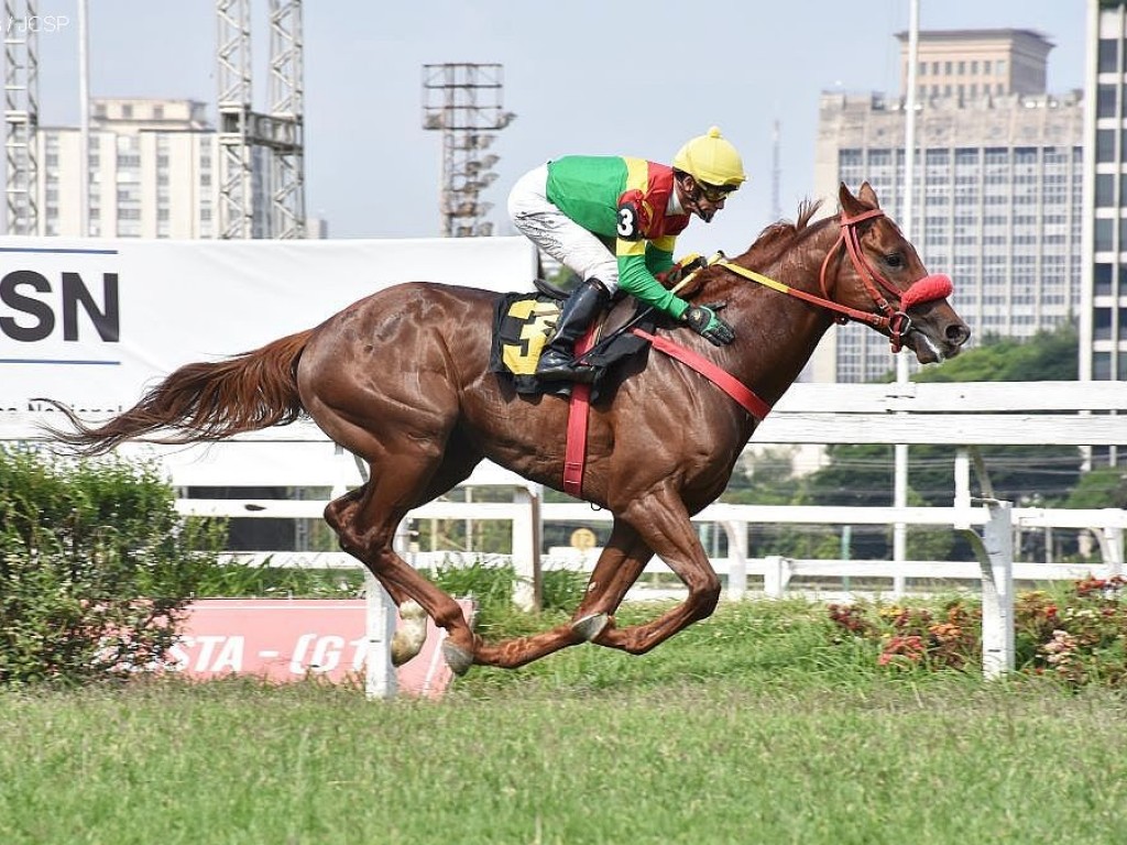 Foto: Pedigree & Black Type: os Ganhadores Clássicos no Brasil - 34ª Edição (encerramento 2020)