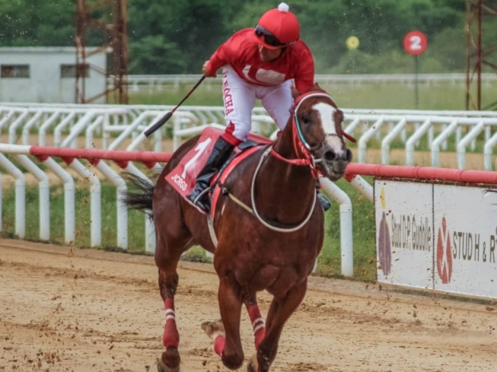 Foto: Sailor Courtier, em recorde, encanta no GP Turfe Gaúcho