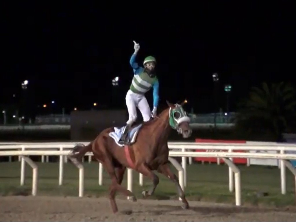 Foto: Com pedigree 100% brasileiro, Atletico El Culano vence o GP José Pedro Ramirez (G1)