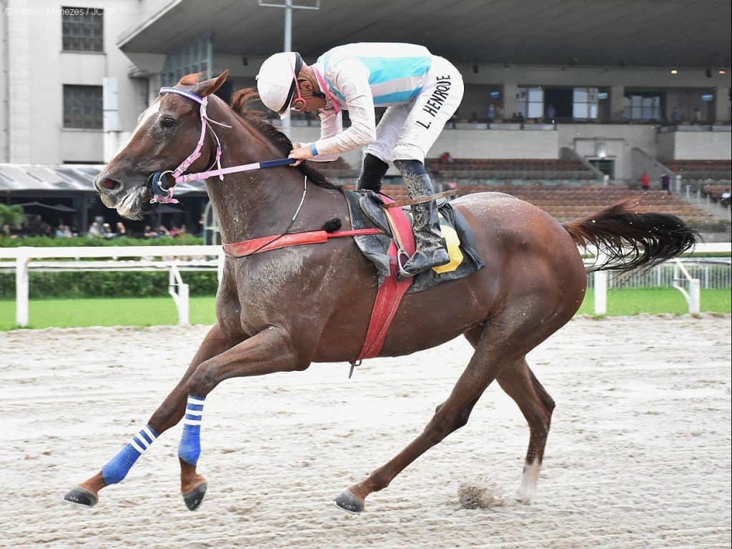 Foto: Golden Pacific conquista o Grande Prêmio 25 de Janeiro (G2)