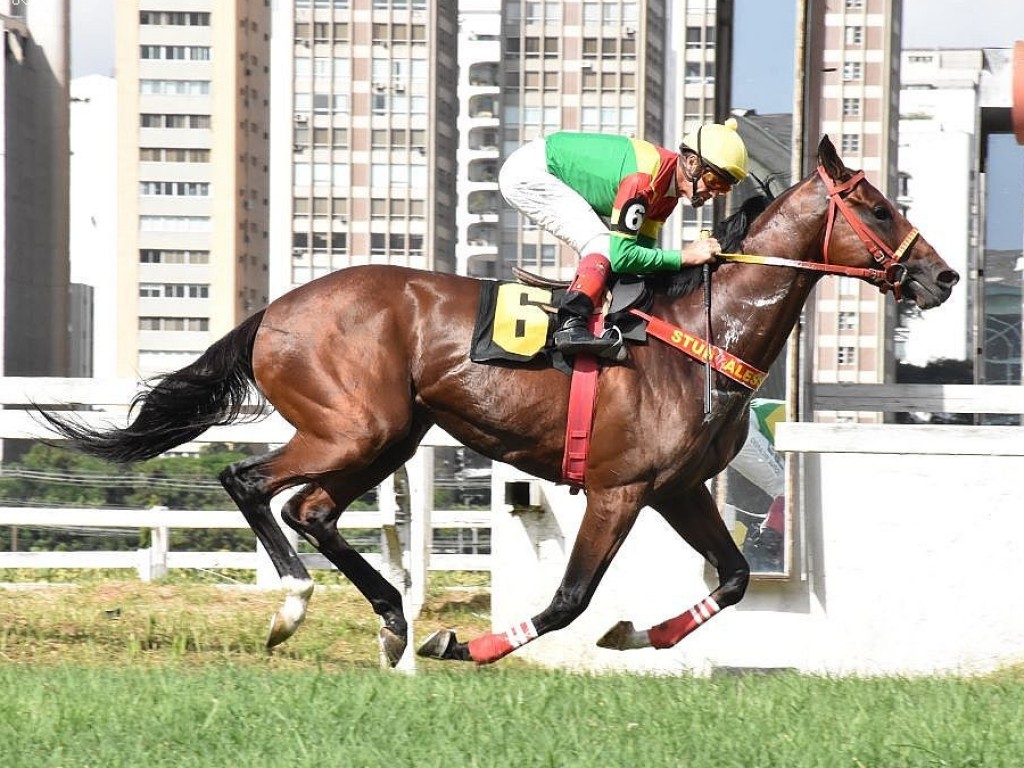 Foto: Head Office não dá susto no GP Linneo de Paula Machado (G3)