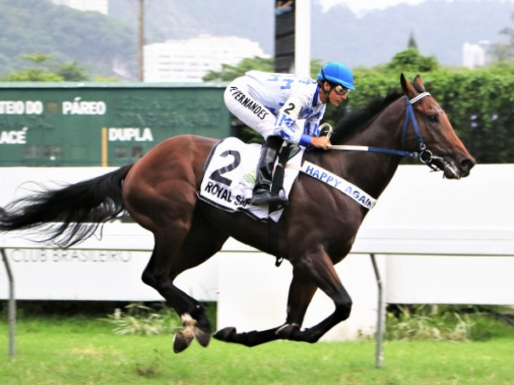 Foto: Amanhã, Royal Ship alinhará na Frank Kilroe Mile (G1)