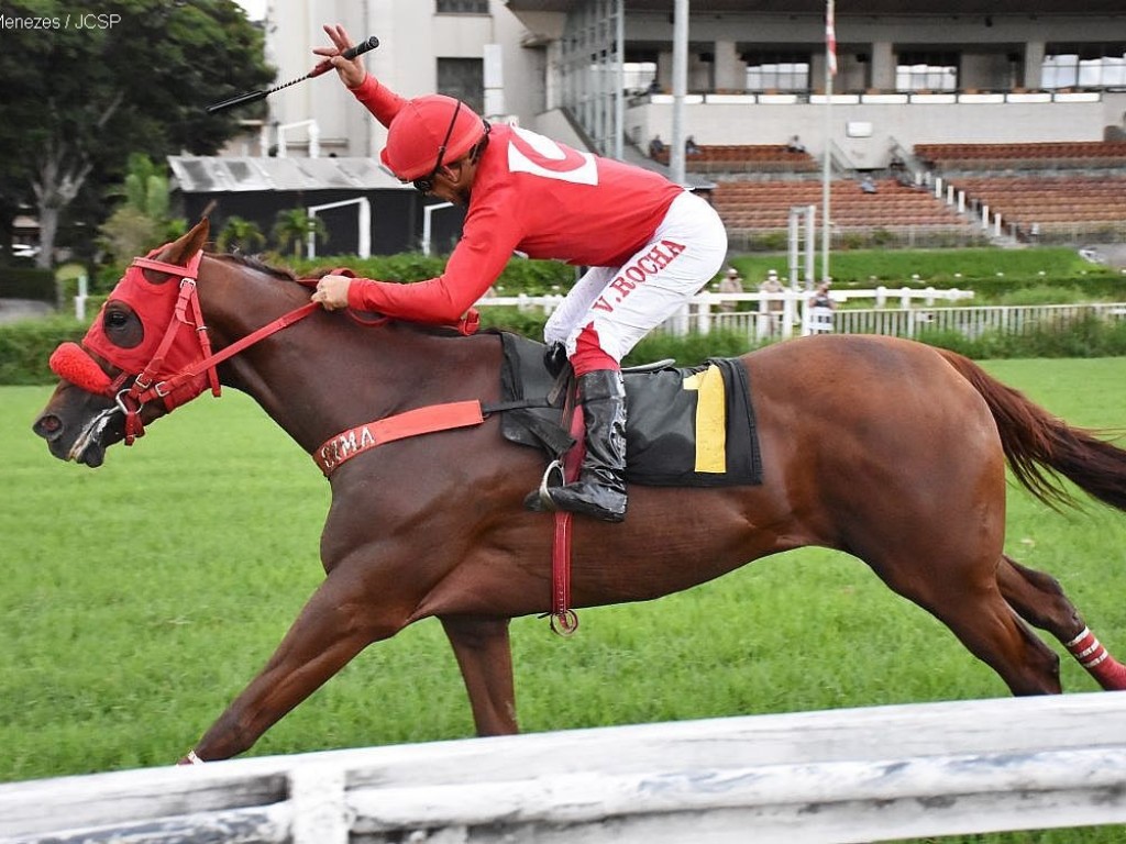 Foto: Fast Jet Court reaparece “voando baixo”