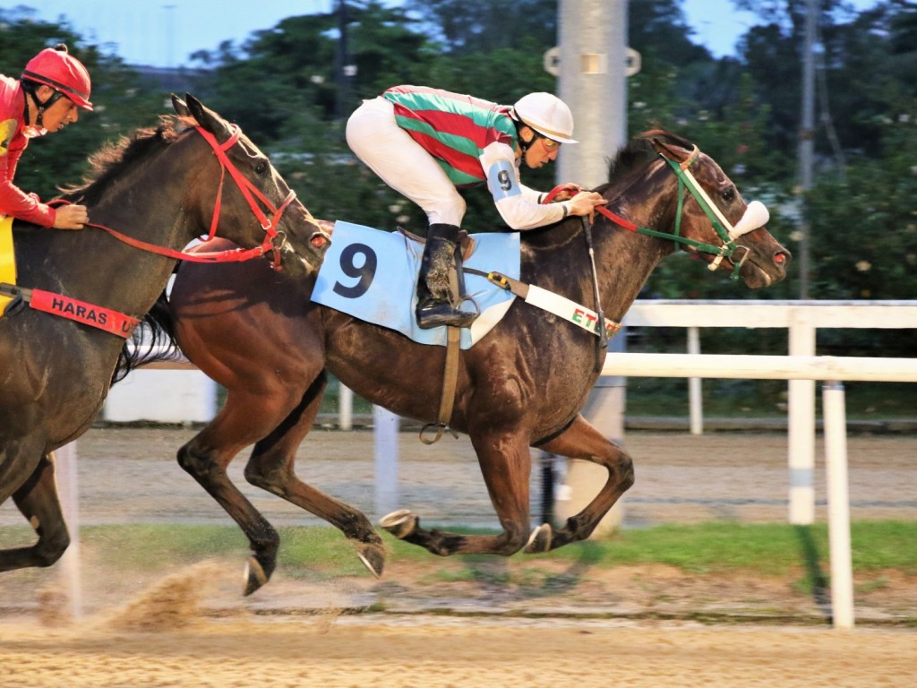 Foto: Amor I Love You e W. S. Cardoso: dupla perfeita na PE Dagoberto Midosi