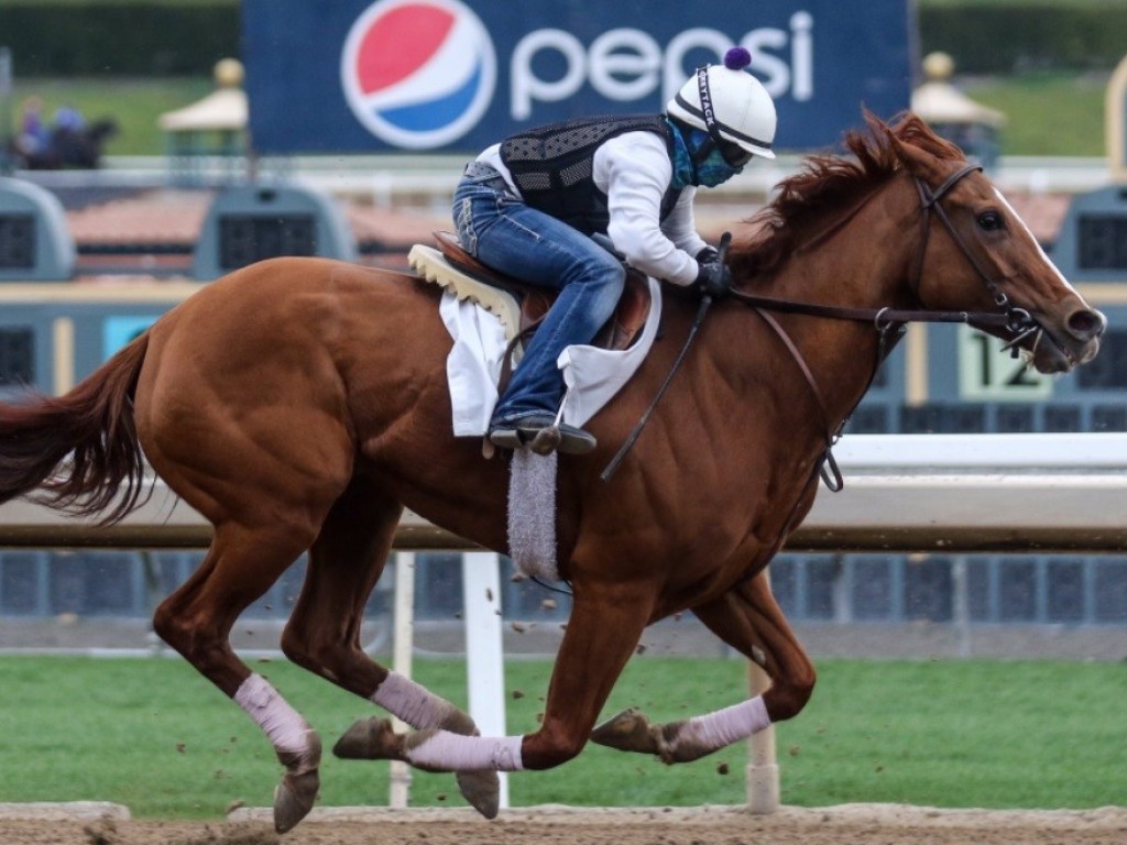 Foto: No sábado, Jolie Olímpica encara G3, em Santa Anita