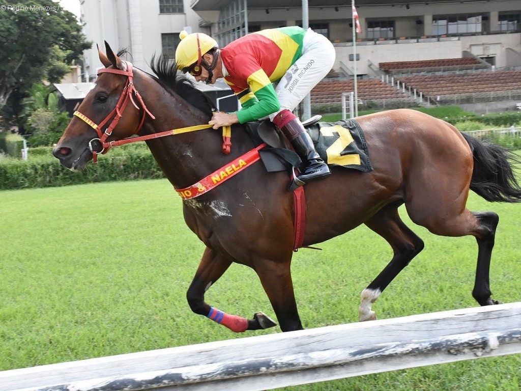 Foto: Firme e fácil, Head Office conquista o 14 de Março (G3)