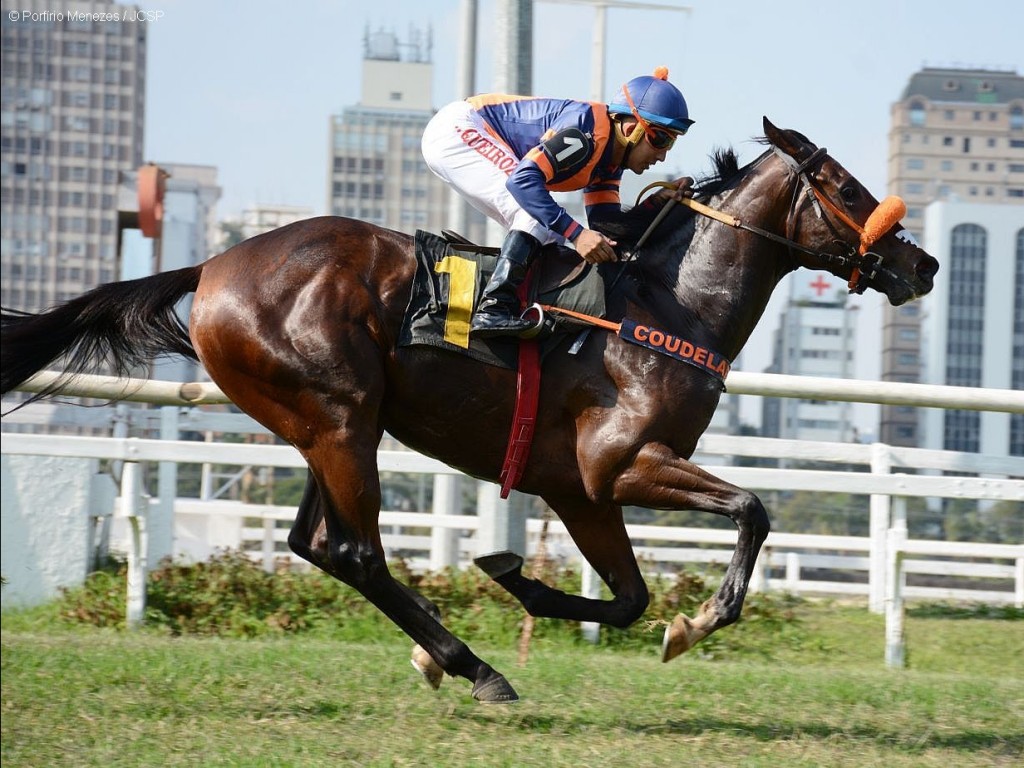 Foto: Captain My Captain é negociado e seguirá para Hong Kong