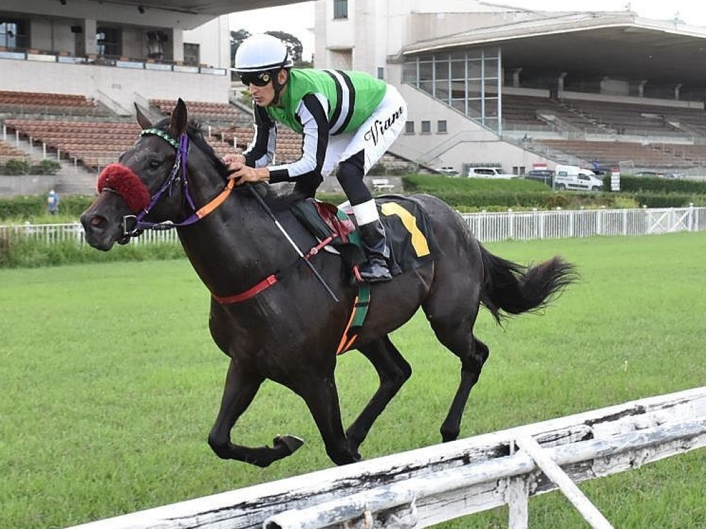 Foto: Lambert comanda dobrada do Haras Cifra em G3