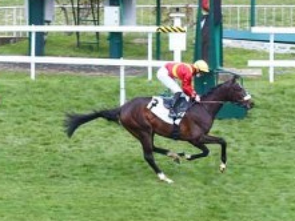 Foto: Neto de brasileira, Trabuco estreia com vitória, em Saint Cloud