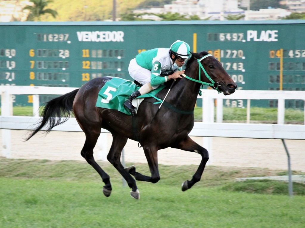 Foto: Regal Tight assume a liderança no GP Luiz Fernando Cirne Lima (G3)