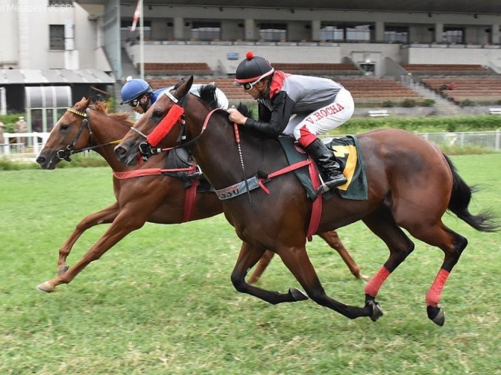 Foto: Jalouise atropela com sucesso no GP Presidente Guilherme Ellis (G2)