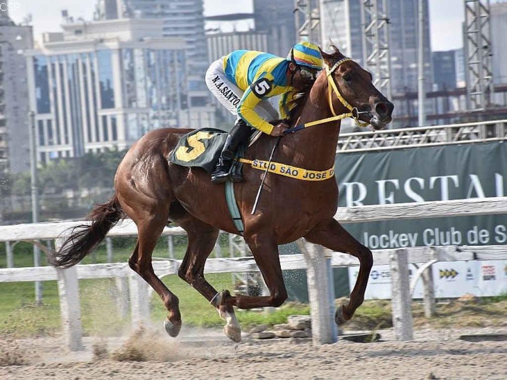 Foto: Firme e fácil, Mondragon vence o GP Presidente Julio Mesquita (G3)