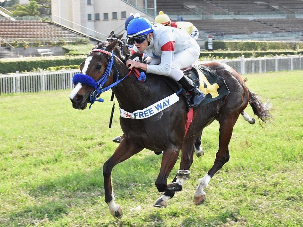 Foto: Em corrida – inusitada – de alcance, Y Gold vence listed race