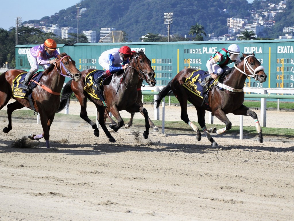 Foto: Chegada espetacular abre a Copa dos Criadores: vitória de Hall Pass na Milha Areia – Sylvio Bertoli