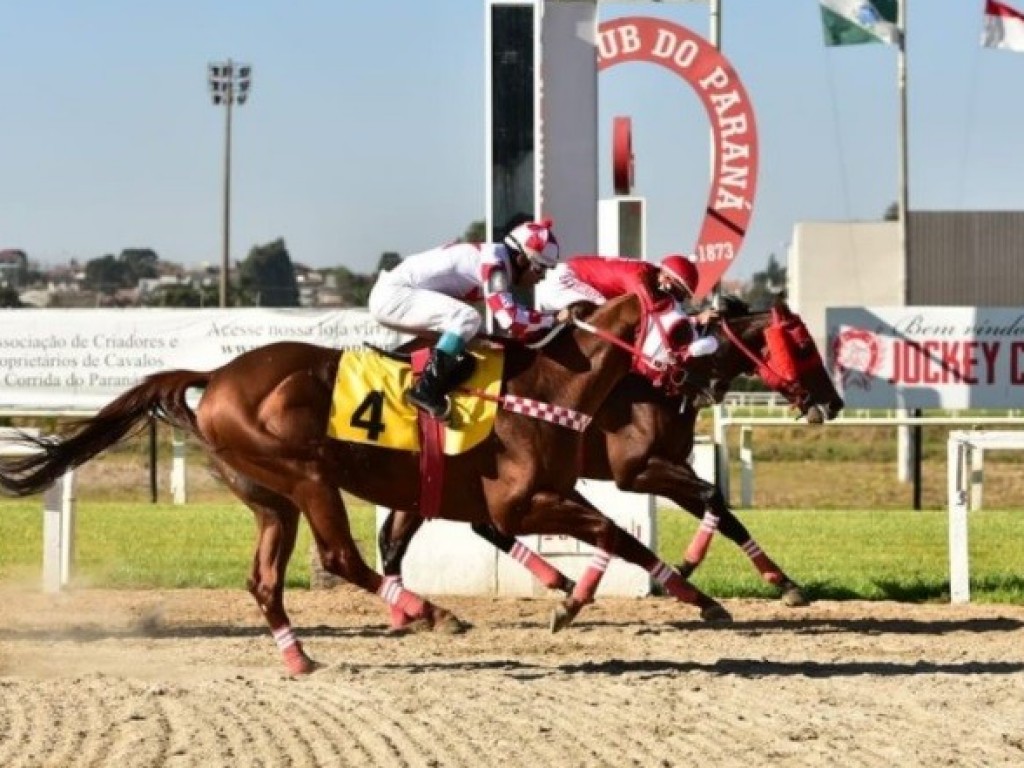 Foto: De ponta a ponta, Dashing Court vence a Taça Hipódromo do Tarumã