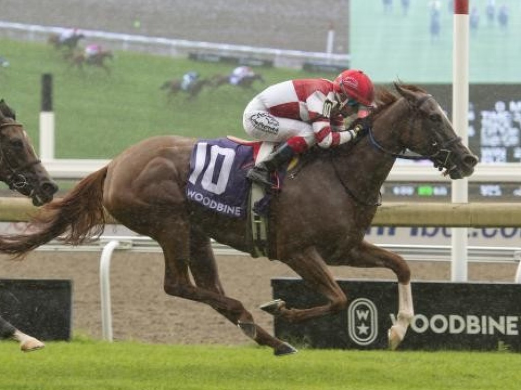 Foto: Na distância que lhe consagrou, Jolie Olímpica vence o Nassau Stakes (G2)