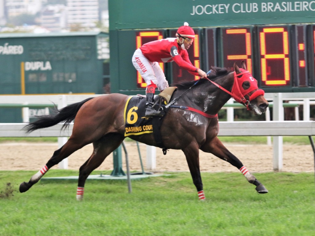 Foto: Dashing Court é o campeão da Milha Internacional