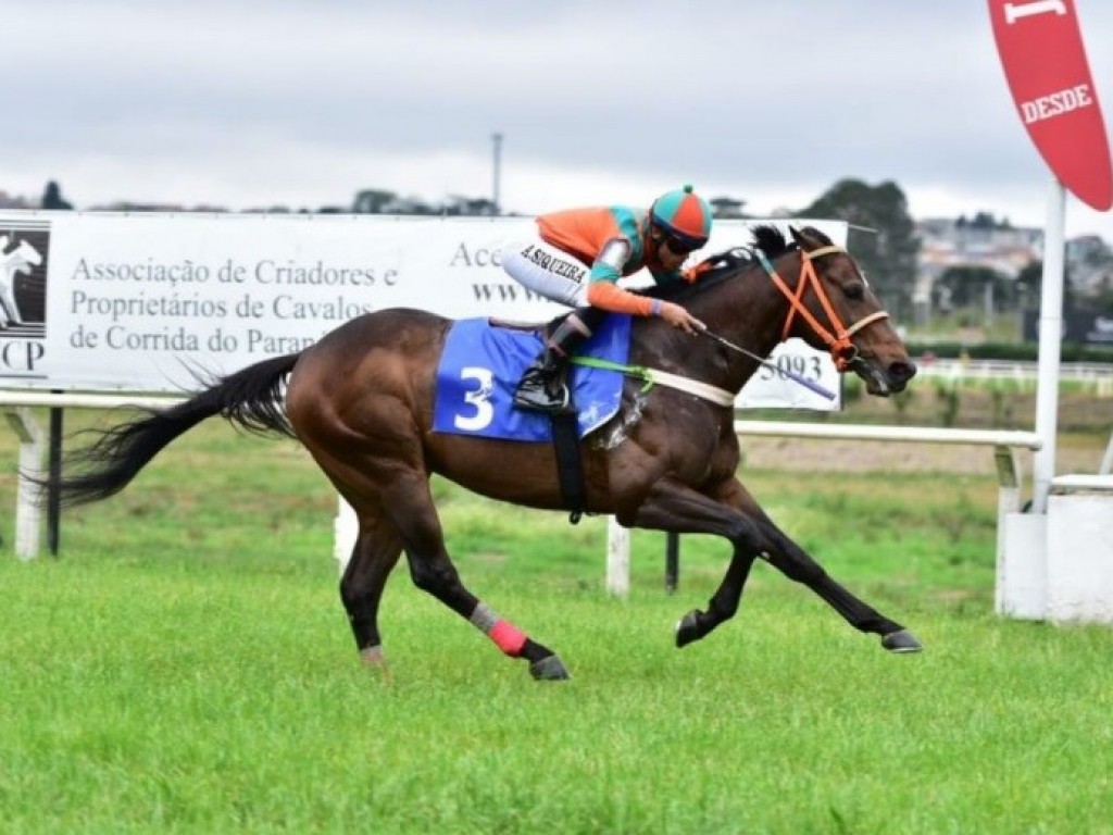 Foto: Henrique Eight vence o teste para o “Velocidade” do festival paranaense