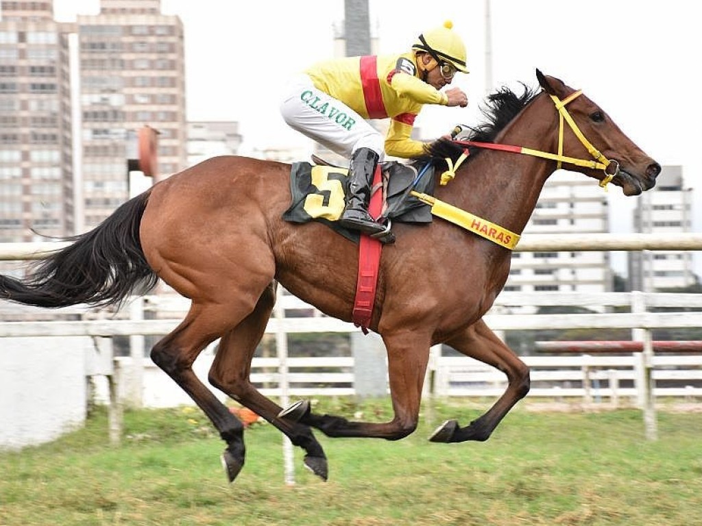 Foto: Isaformer vence e convence na Copa Japão de Turfe (G3)