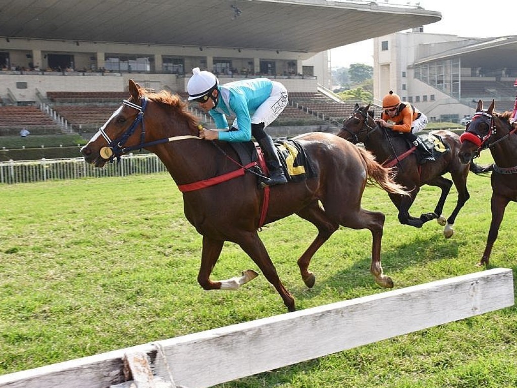 Foto: Don Cambay vence a Prova Especial Quari Bravo