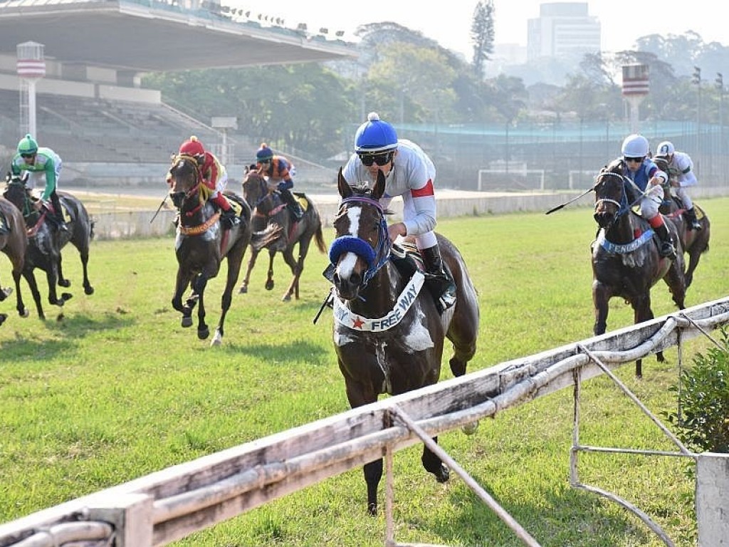 Foto: Y Gold é bicampeã do GP Independência (G3)