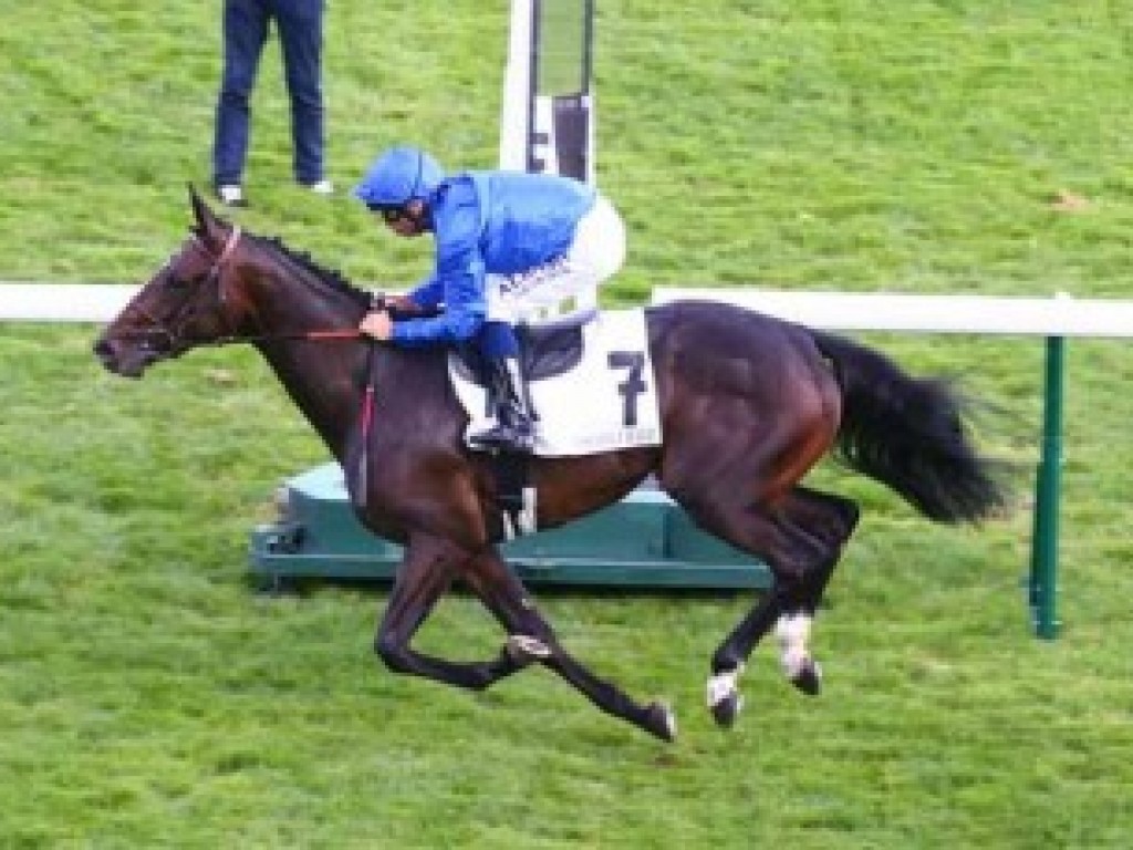 Foto: França: filha da brasileira Zara, Fleur D’Iris vence G3 em Longchamp