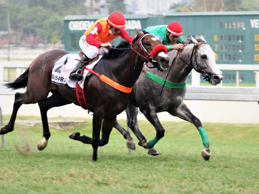 Foto: Mem Cade Ce e Osprey: empate no GP João Borges Filho (G2)