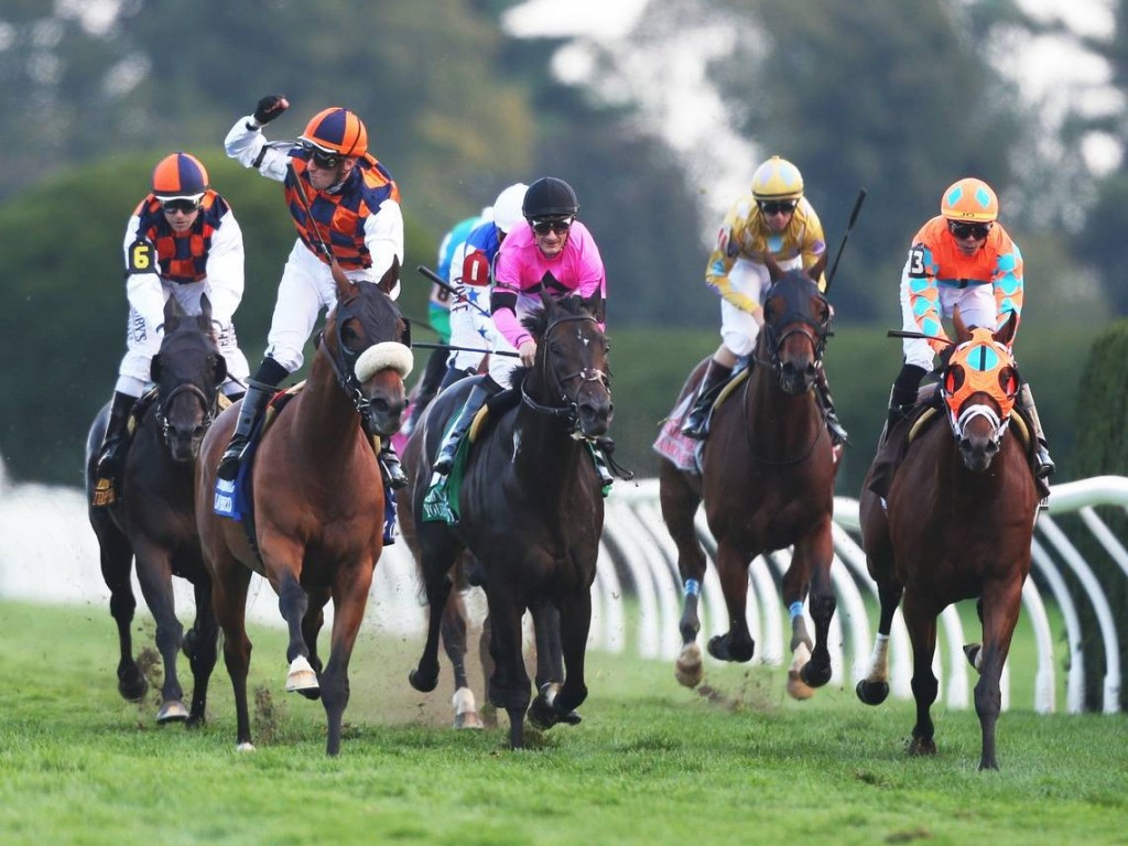 Foto: In Love faz brilhar a criação brasileira no Turf Mile Stakes (G1)