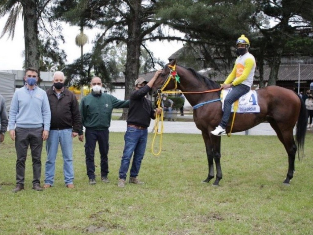 Foto: Na edição 2021 da Expofeira de Pelotas, o retorno do cavalo PSI à feira