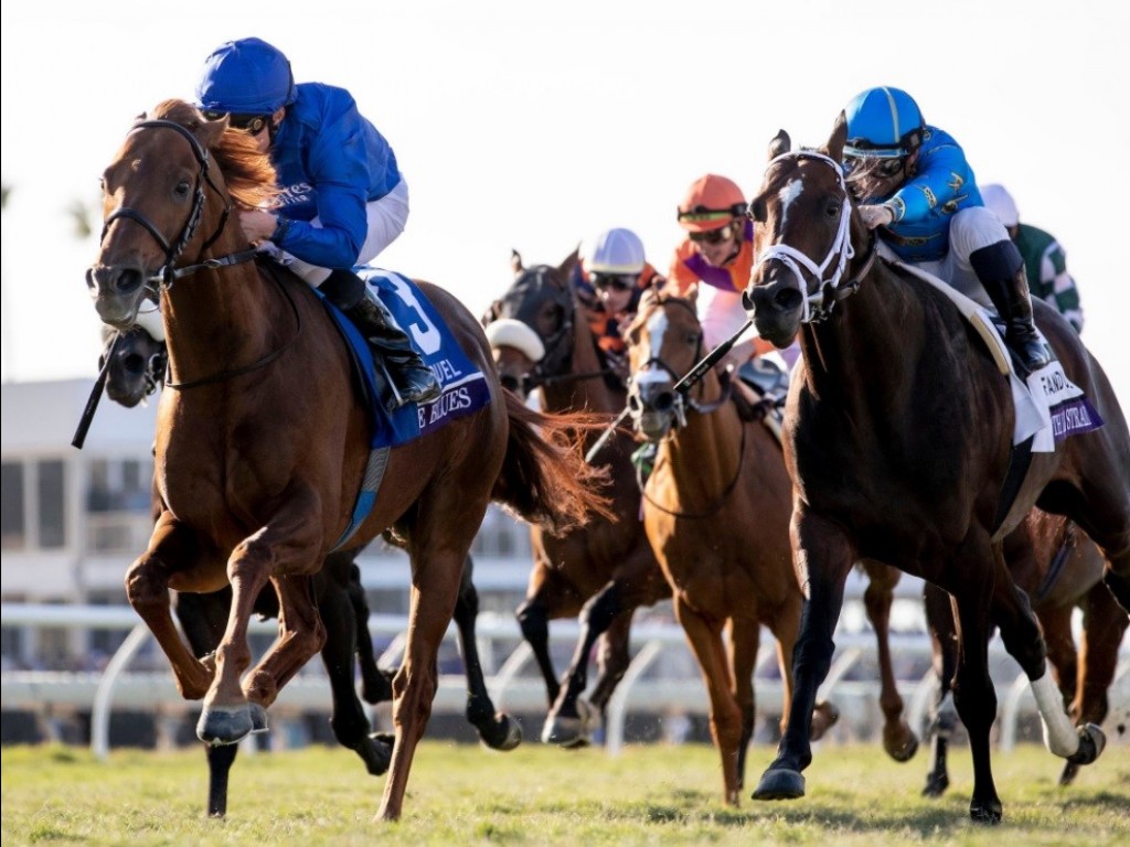 Foto: Numa excelente corrida, Ivar entra terceiro para Space Blues na Breeders’ Cup Mile (G1)